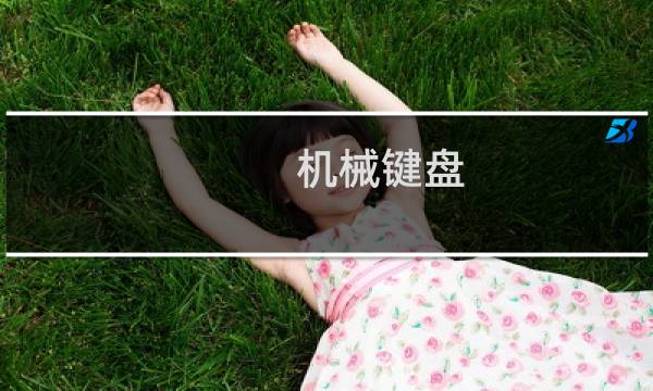 机械键盘 清洗 - 机械键盘拆卸清洗